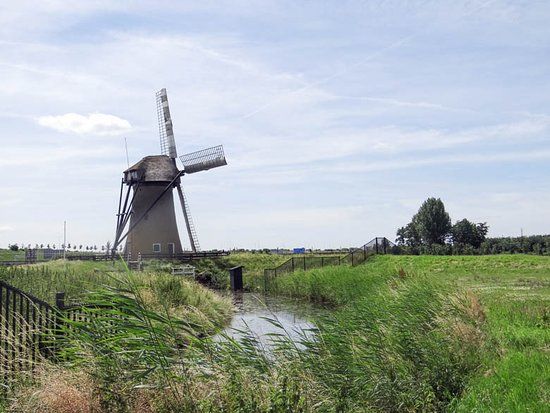 de Pendrechtse Molen