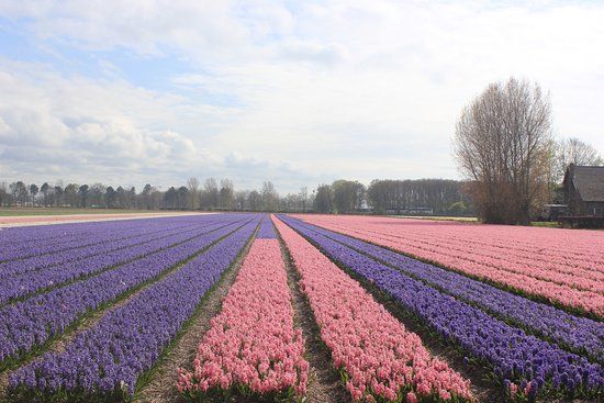 Boerderij 'Oud-Zandvliet'