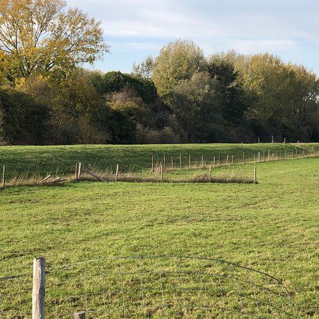 De Gorzen Park