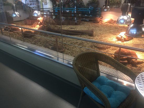 Schildpaddencentrum