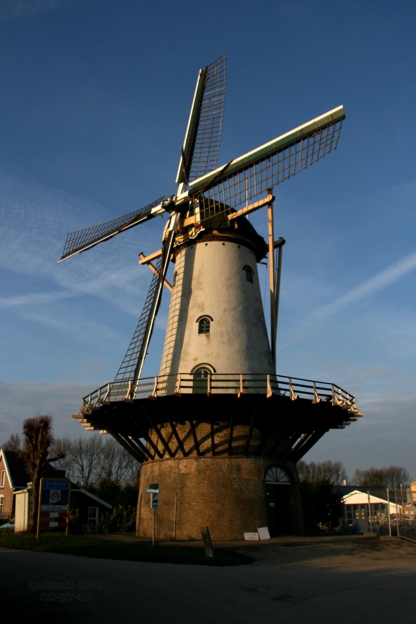 De Arend