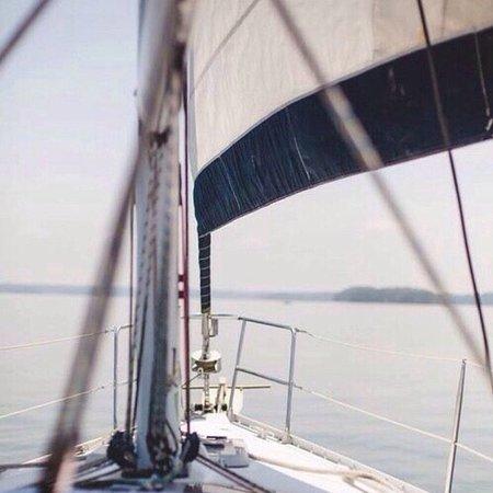 Bites&Boats