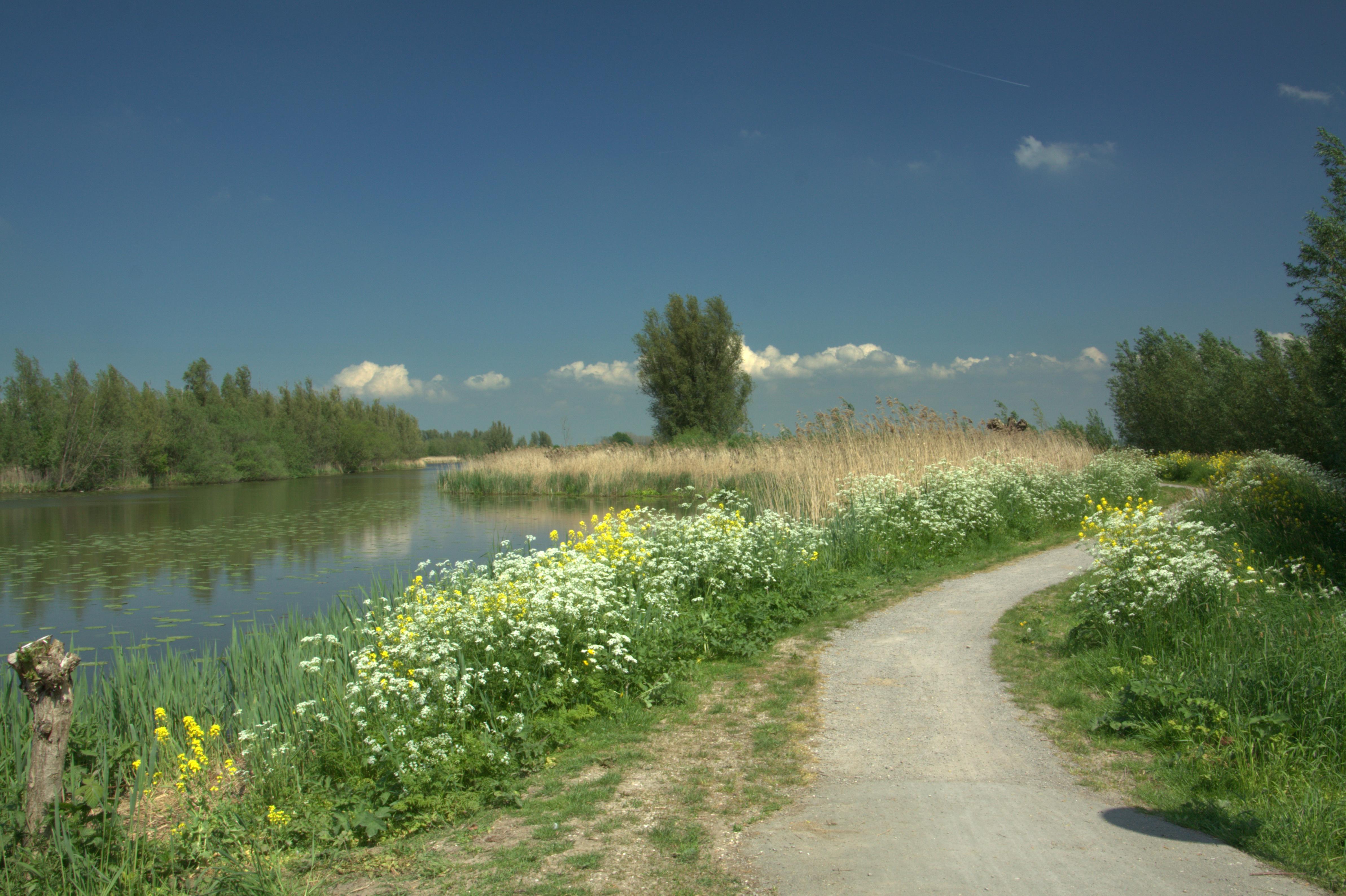 Zouweboezem