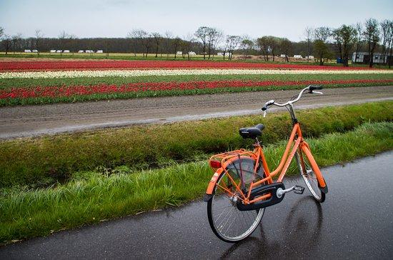 Rent-a-Bike van Dam