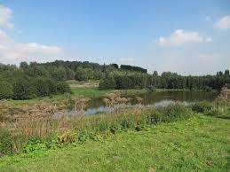 Hoge Bergse Bos